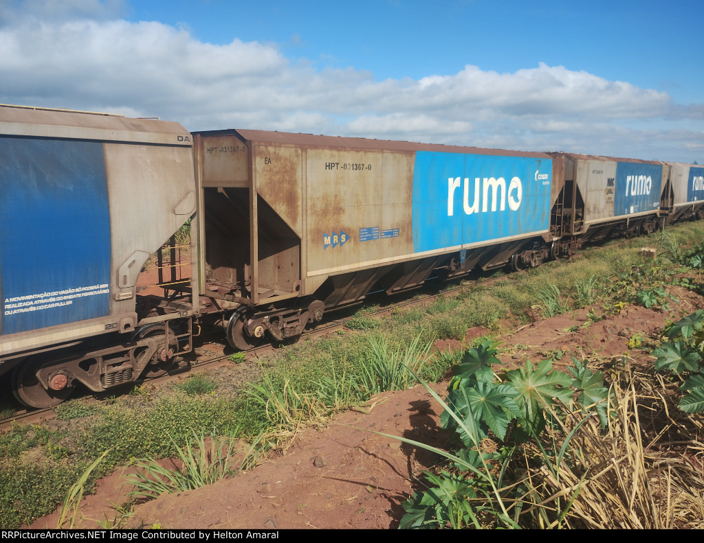 RUMO HPT-031367-0
